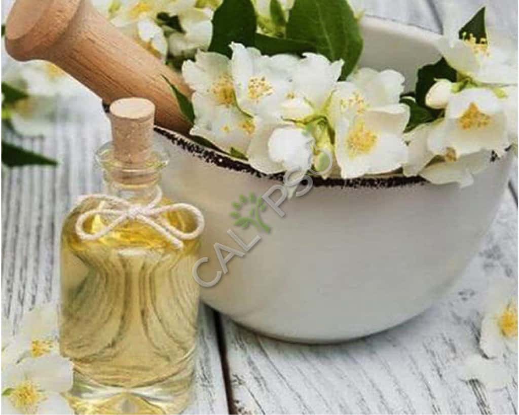 Buy 100% Pure Jasmine Auriculatum Absolute Oil